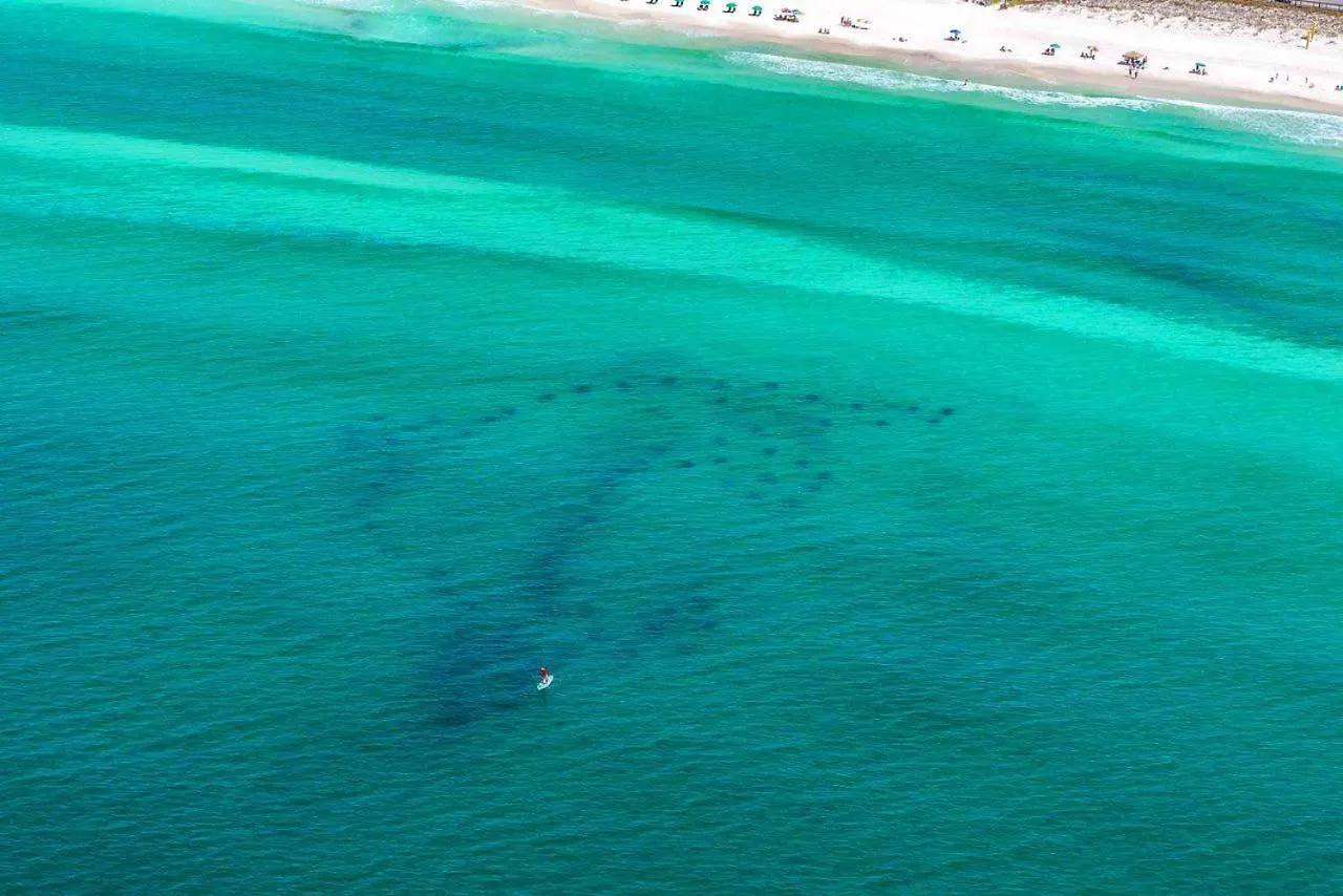 Caribbean Dunes 120 Destin United States